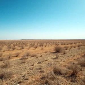 Dry Oklahoma landscape indicating wildfire risk